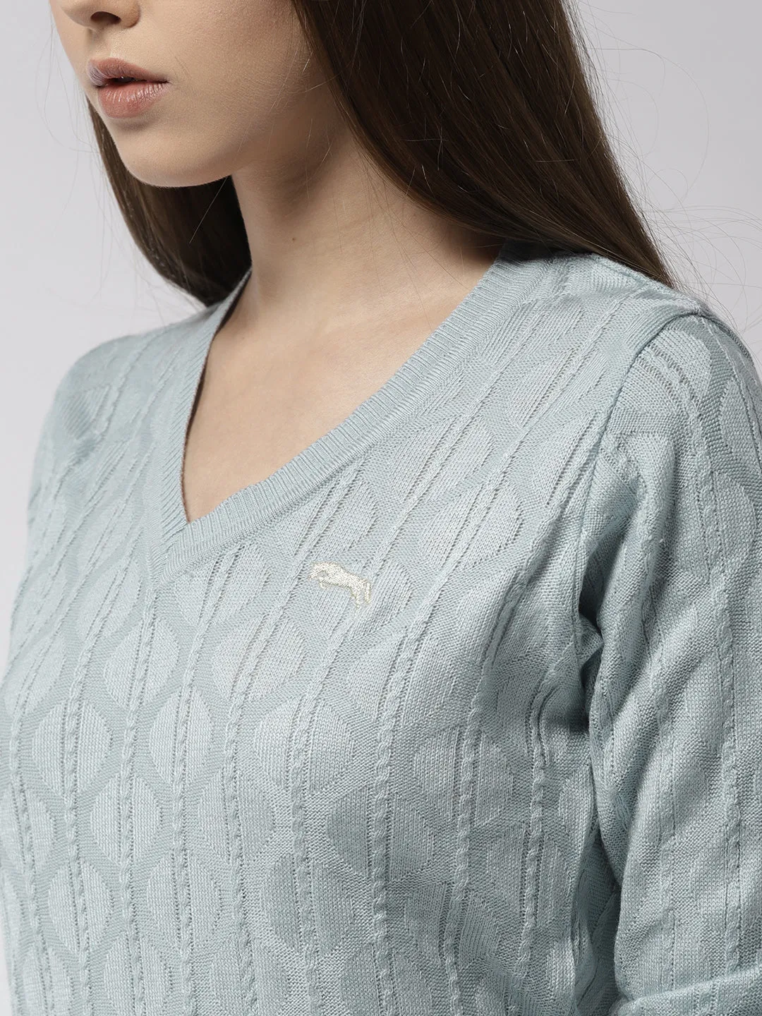 Women Self Design Blue Pullover